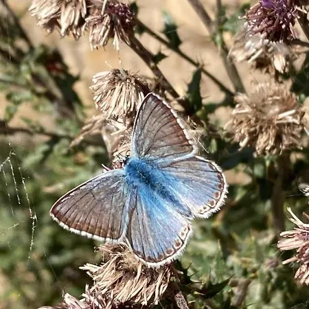 Haus Rhodania 호텔