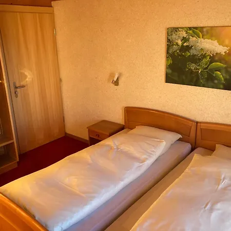 Haus Rhodania 호텔 알비넨