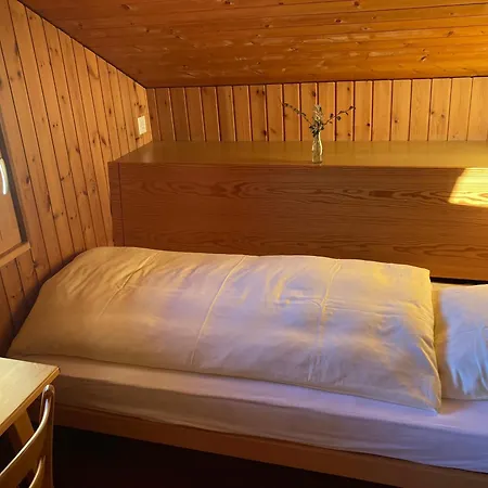 Haus Rhodania 알비넨