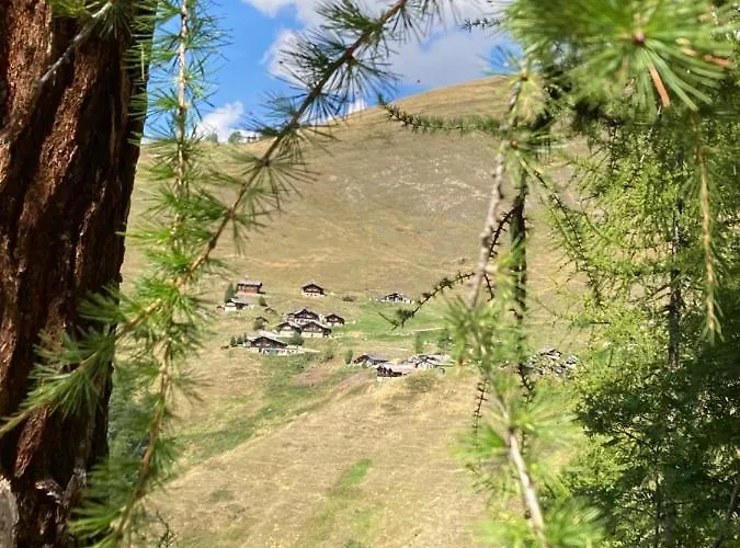 Haus Rhodania 2* Albinen