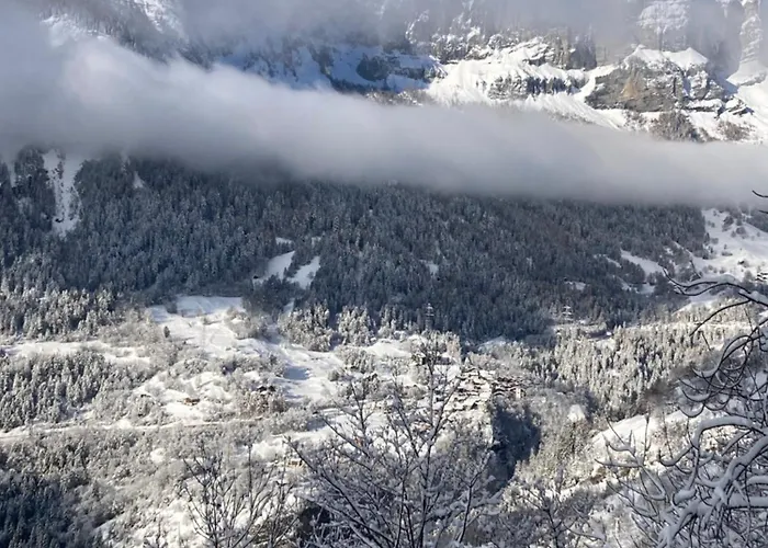 Haus Rhodania Hotel Albinen