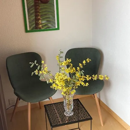 Haus Rhodania 2*