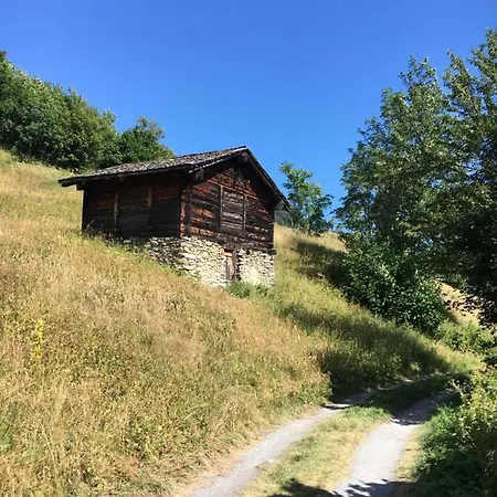 Haus Rhodania Albinen