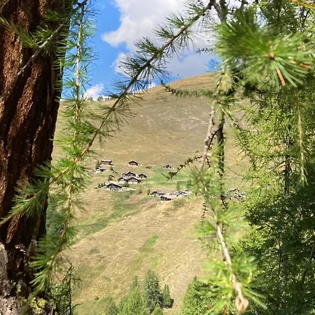 Haus Rhodania 2* Albinen