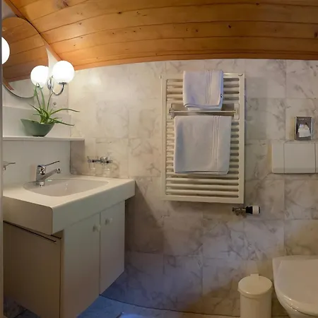 Haus Rhodania 2* Albinen