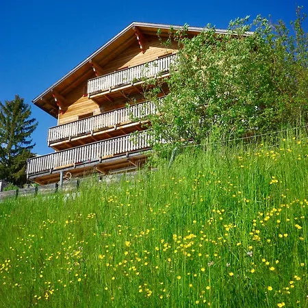 Haus Rhodania 2* Albinen