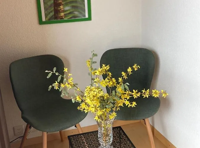 Haus Rhodania 2*