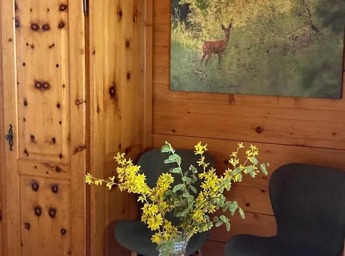 Haus Rhodania Hotell