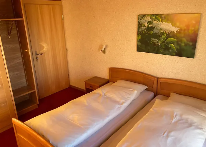 Haus Rhodania Hotell Albinen